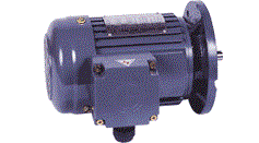 CV..S城邦立式標(biāo)準(zhǔn)ICE三相鋁殼剎車(chē)馬達(dá)